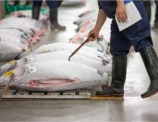 生産者直結の提案力