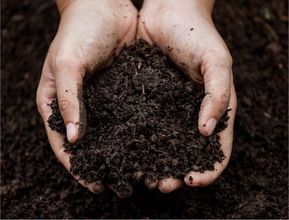 肥料・農業資材販売