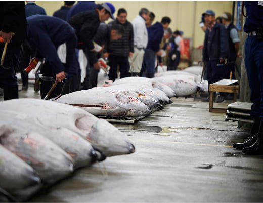 新鮮な旬素材を使用